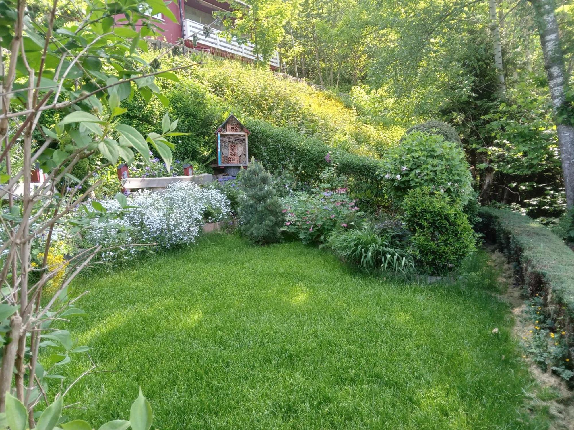 Haus Wiesental Kleines Wiesental Buitenkant foto