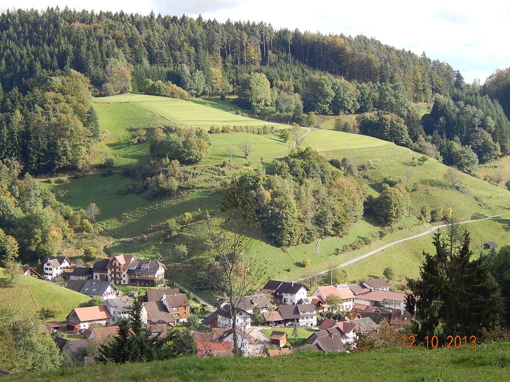 Haus Wiesental Kleines Wiesental Buitenkant foto