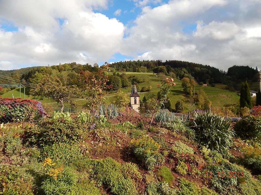 Haus Wiesental Kleines Wiesental Buitenkant foto