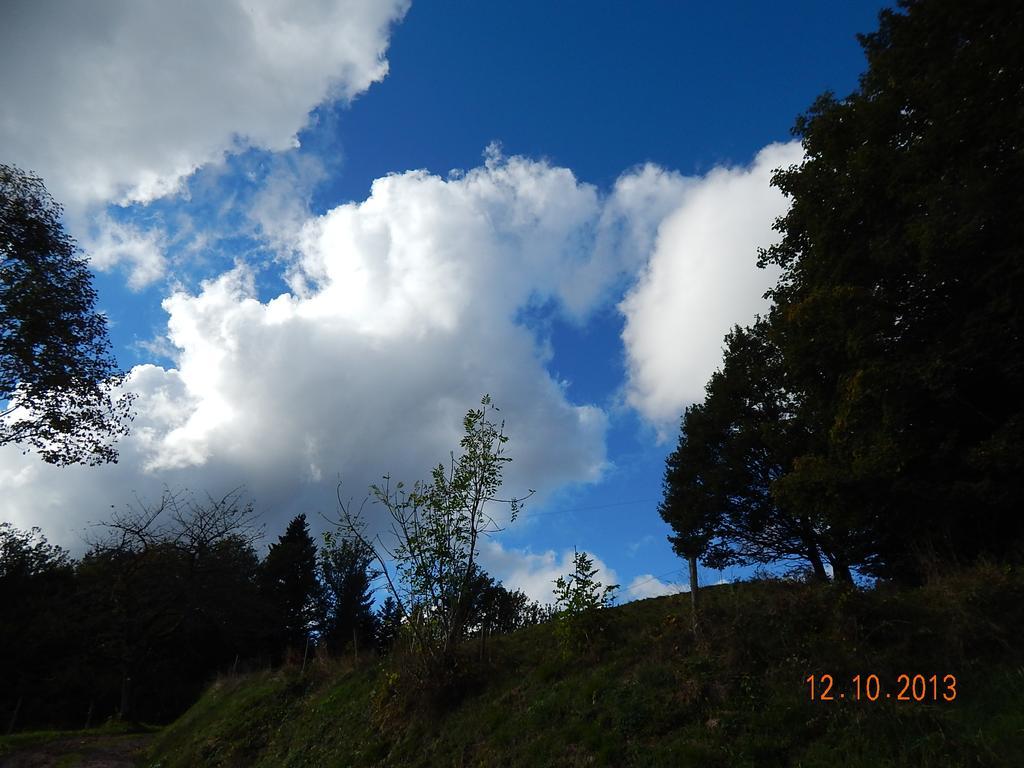 Haus Wiesental Kleines Wiesental Buitenkant foto
