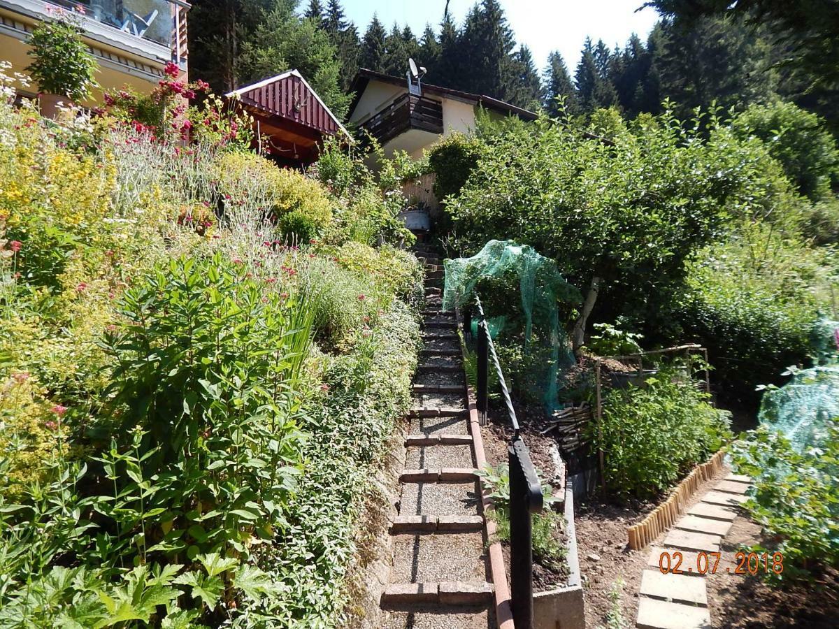 Haus Wiesental Kleines Wiesental Buitenkant foto