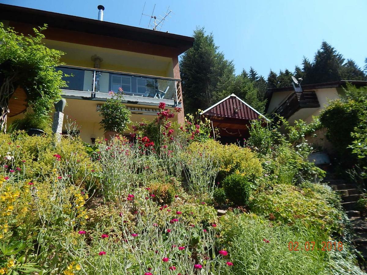 Haus Wiesental Kleines Wiesental Buitenkant foto