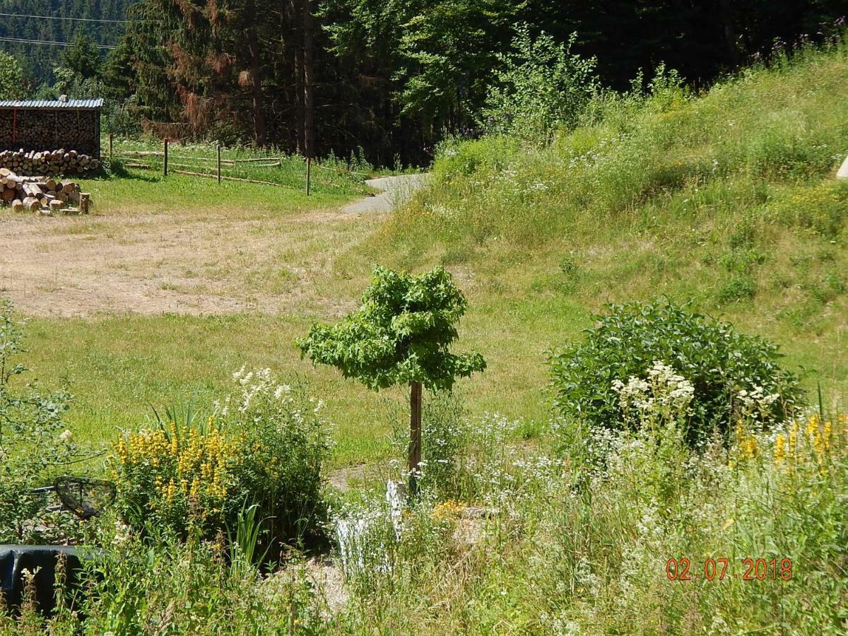 Haus Wiesental Kleines Wiesental Buitenkant foto