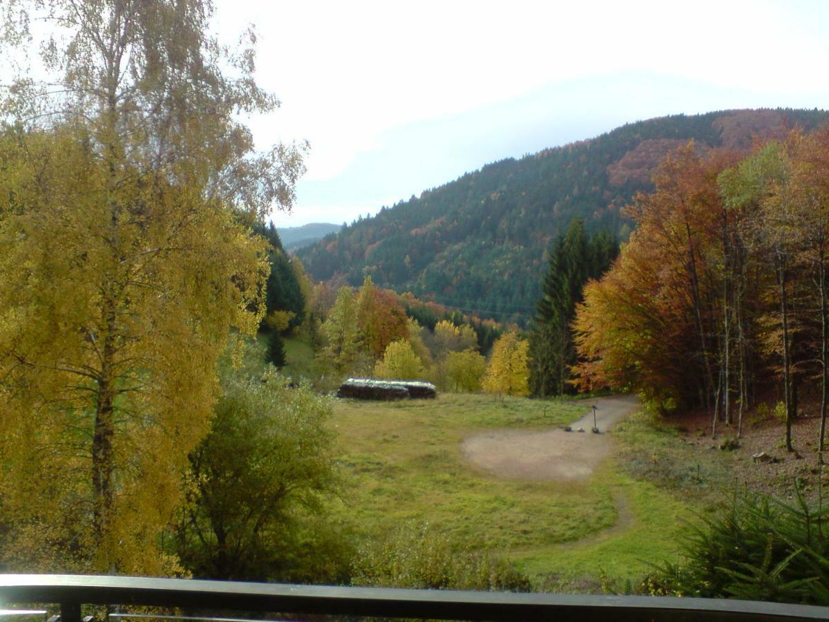 Haus Wiesental Kleines Wiesental Buitenkant foto
